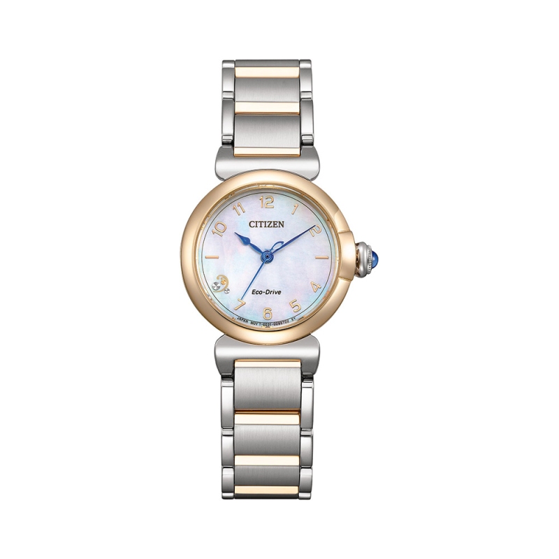 Hodinky CITIZEN EM1136-87D