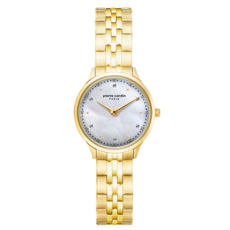 Hodinky Pierre Cardin A.PC902682F305