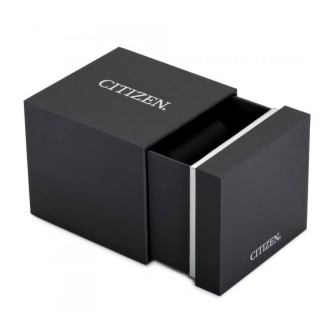 Hodinky CITIZEN NJ0190-51X