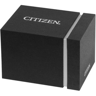 Hodinky CITIZEN AR3120-41X