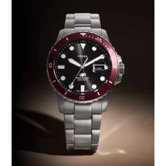 Hodinky Fossil FS6013