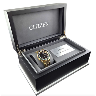 Hodinky CITIZEN NB6033-51E