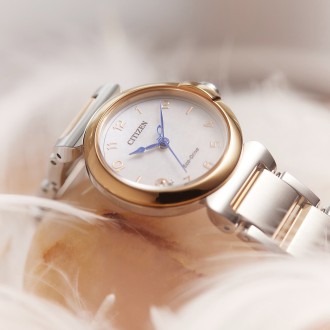 Hodinky CITIZEN EM1136-87D