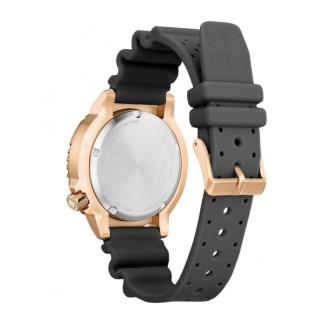 Hodinky Citizen BN0163-00H