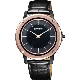 Hodinky Citizen AR5025-08E