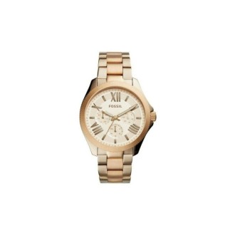 Hodinky Fossil AM4634