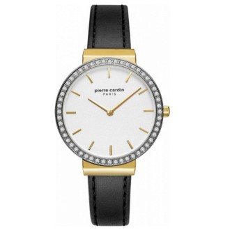 Hodinky Pierre Cardin A.PC902352F02U